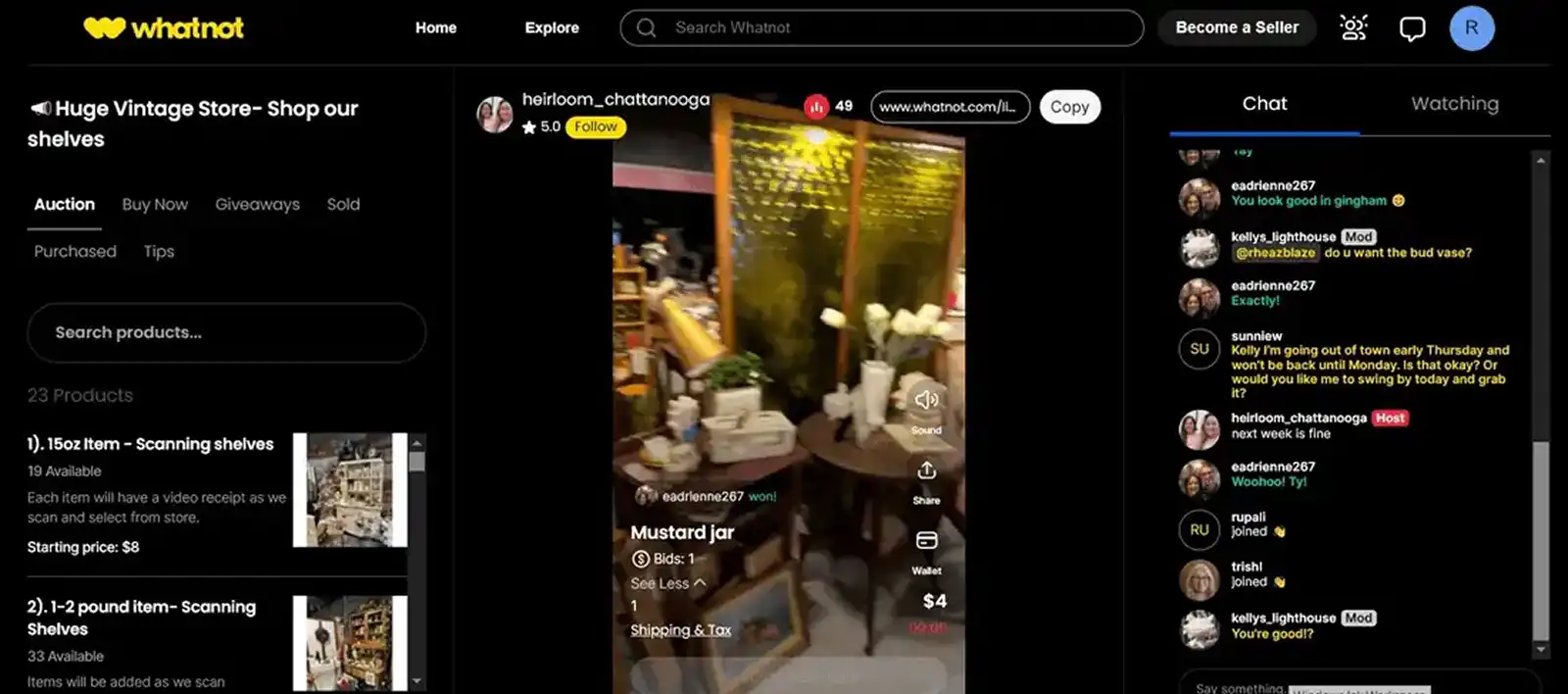 Livestream Example