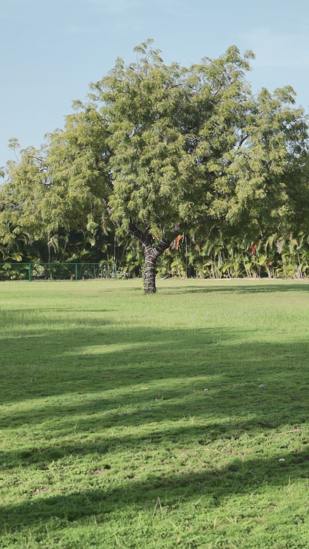 Outdoor wedding venue with chairs ready.