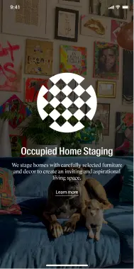 homers project snapshot 1