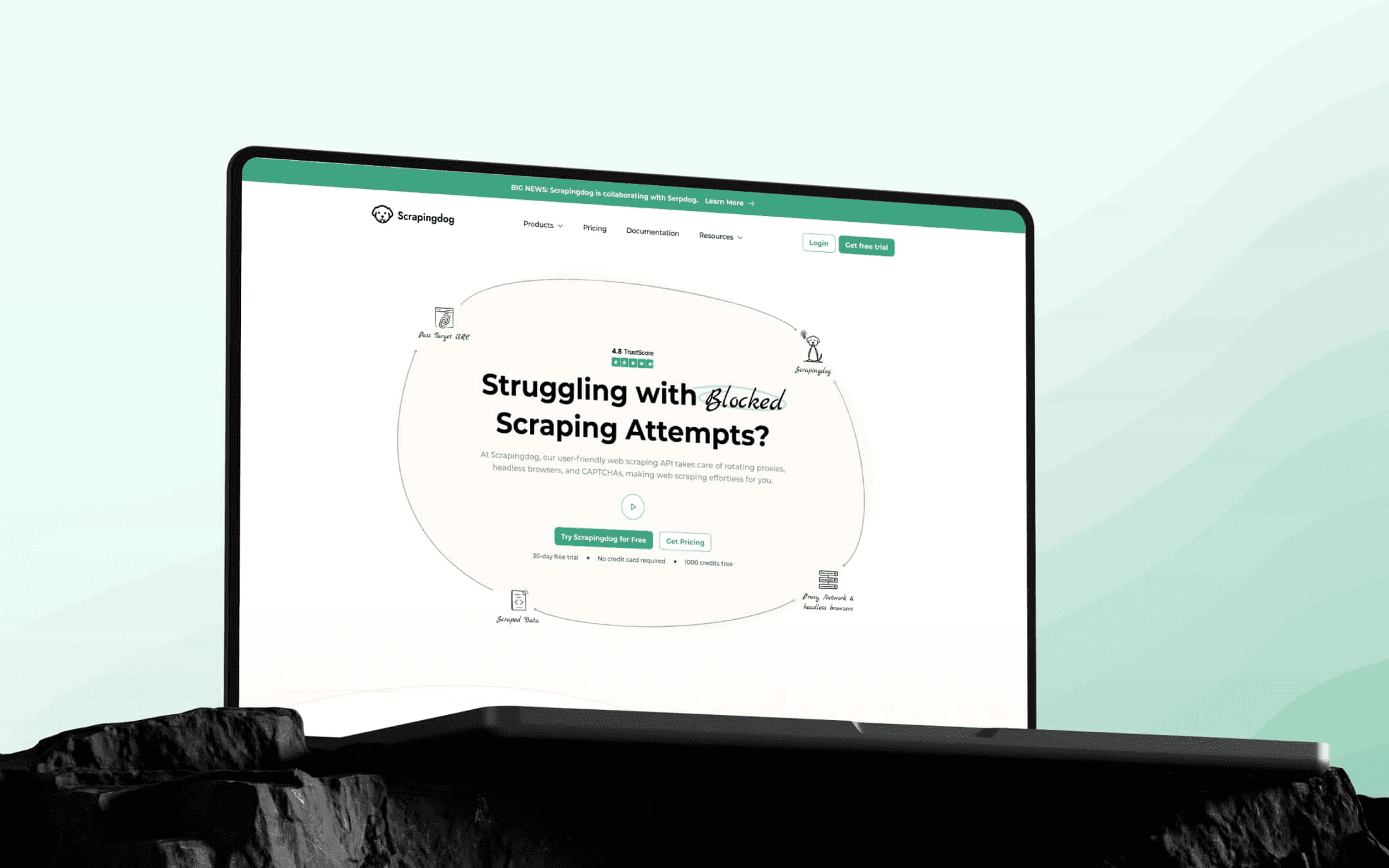 Best Scrapingdog Alternatives for Web Scraping