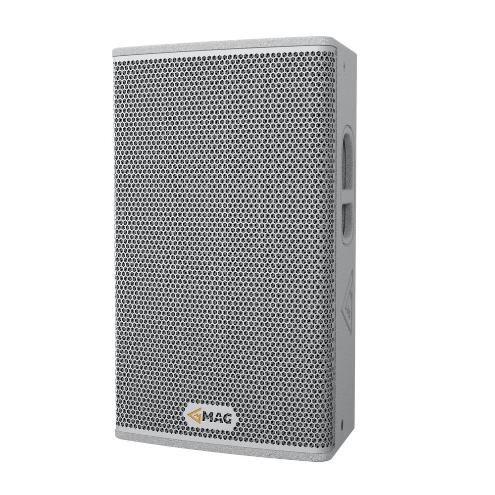 MAG speaker