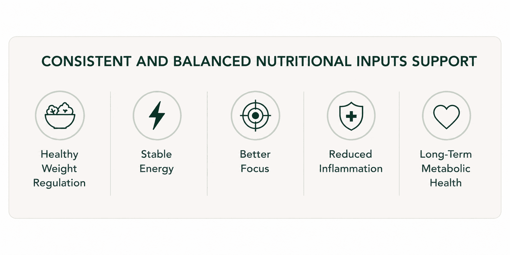 Graphic showing the additional support balanced meals provide, including stable energy, reduced inflammation, improved focus, and long-term metabolic health.