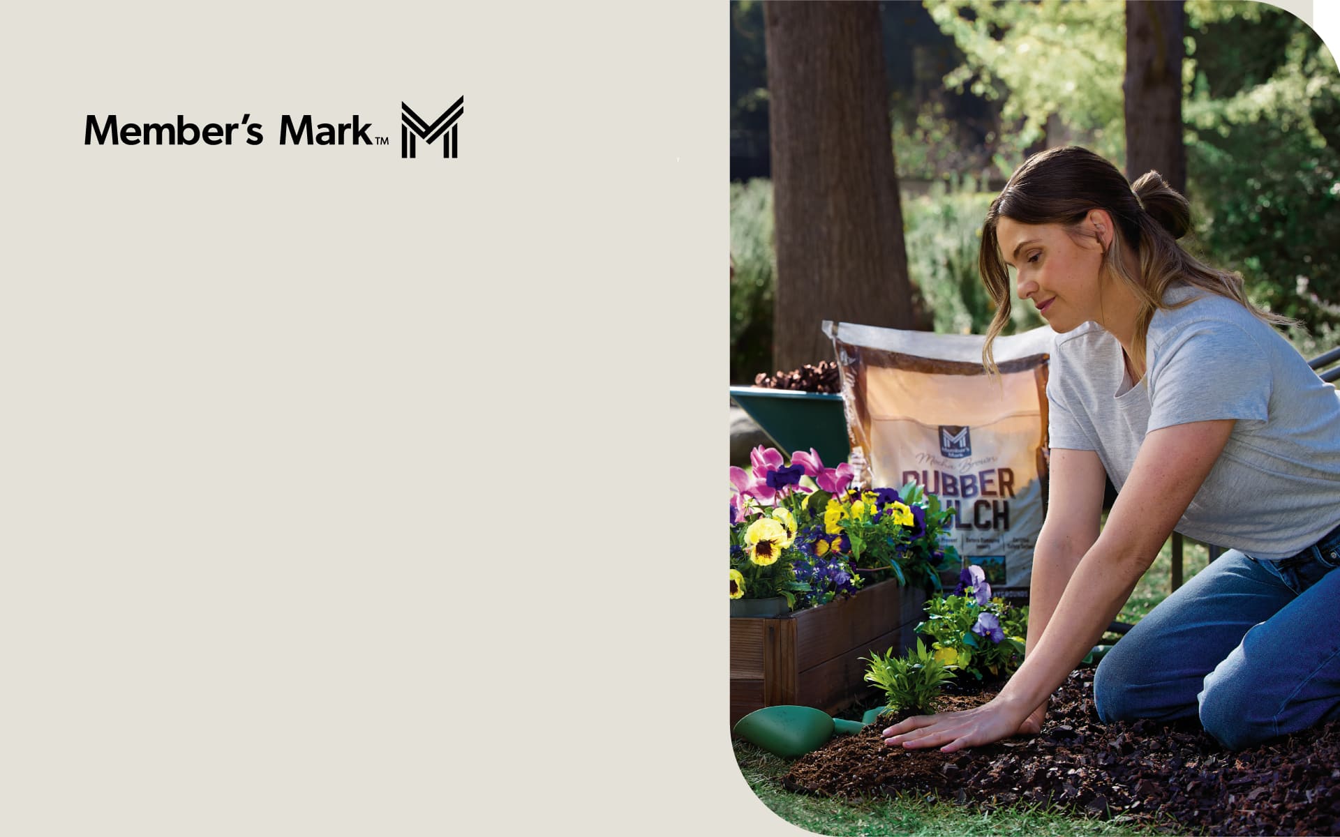 Imagen de un celular que muestra la recolección de puntos en Sam's Cash