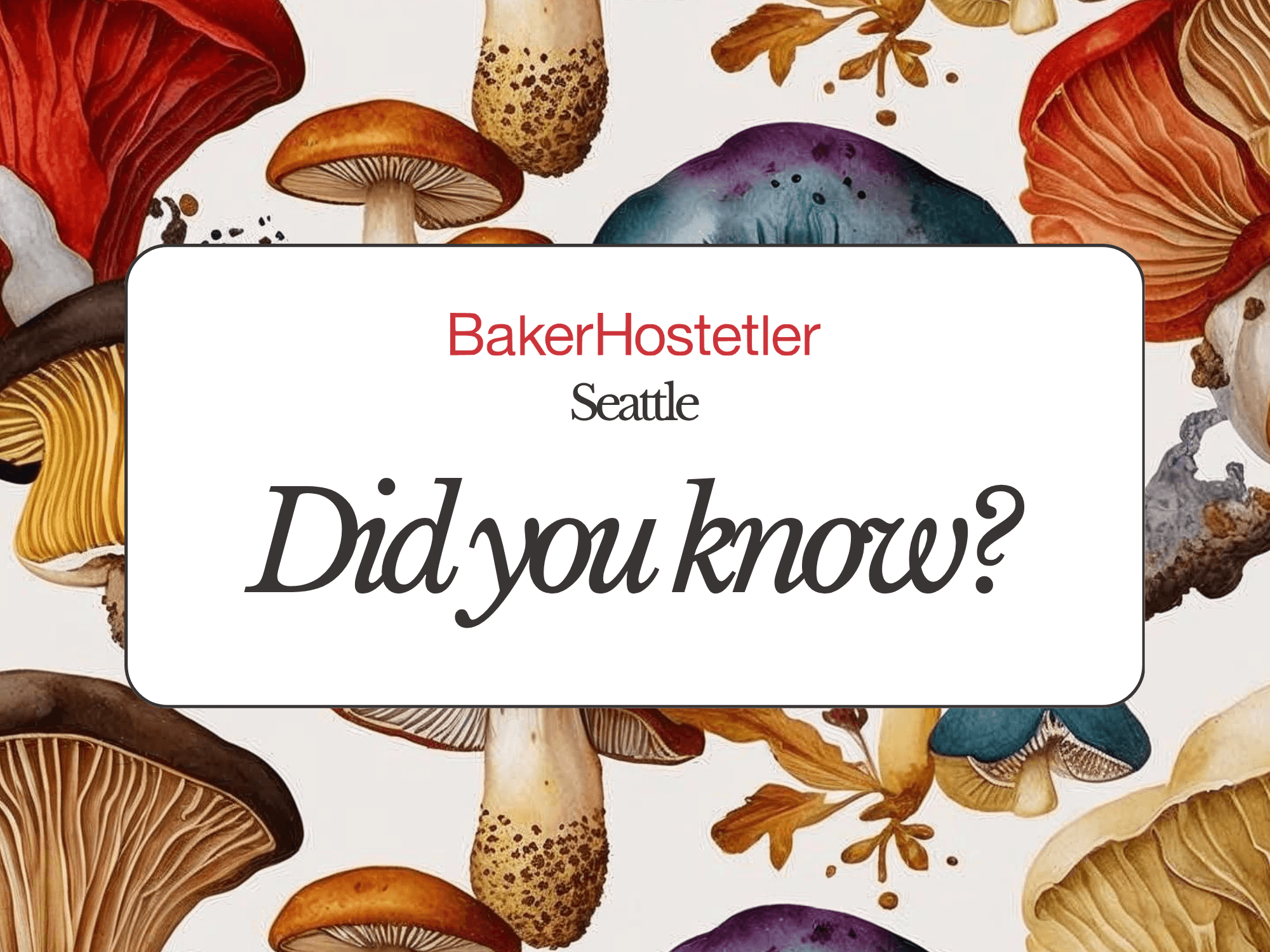 BakerHostetler presentation print piece
