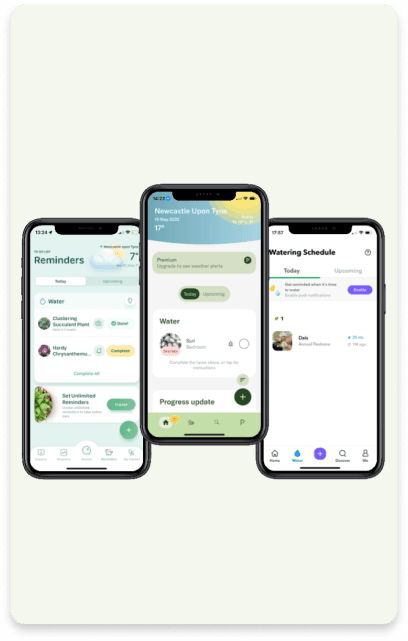 3 Plant care app screen for Blossom, Planta and Greg.