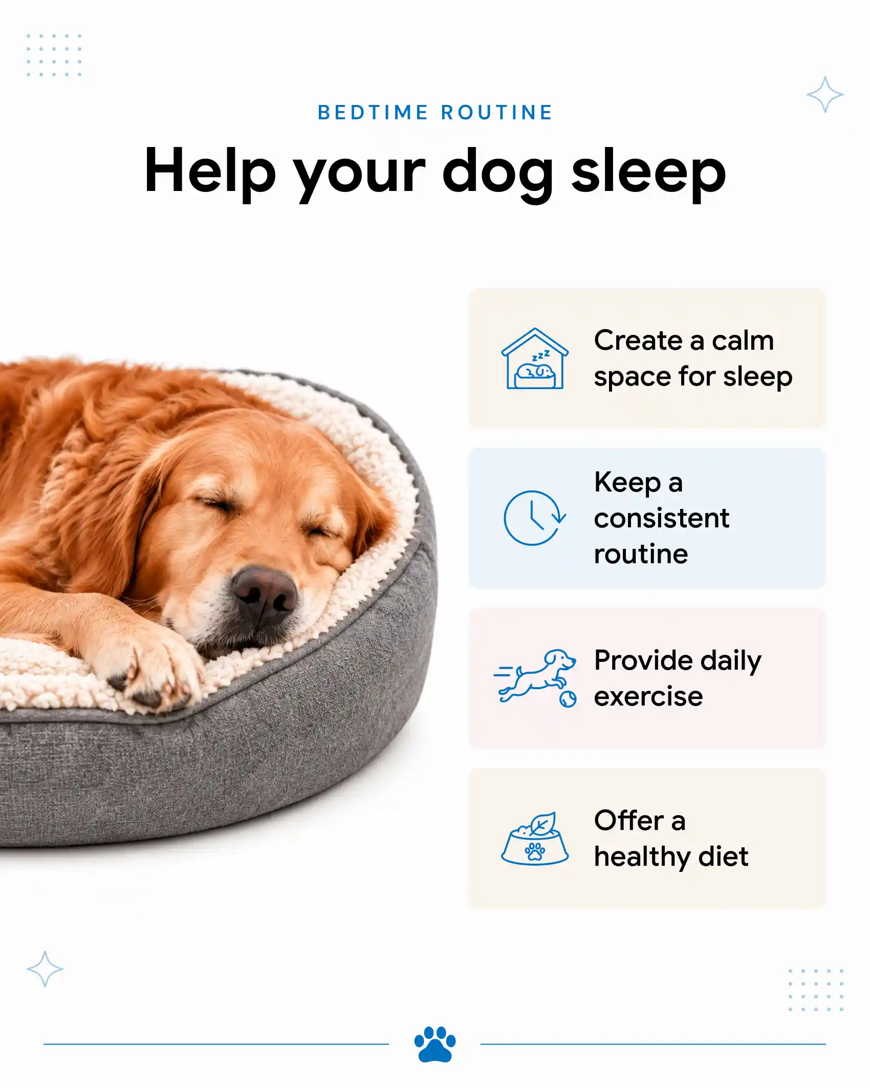 An infographic showing the ways to help your dog sleep better.