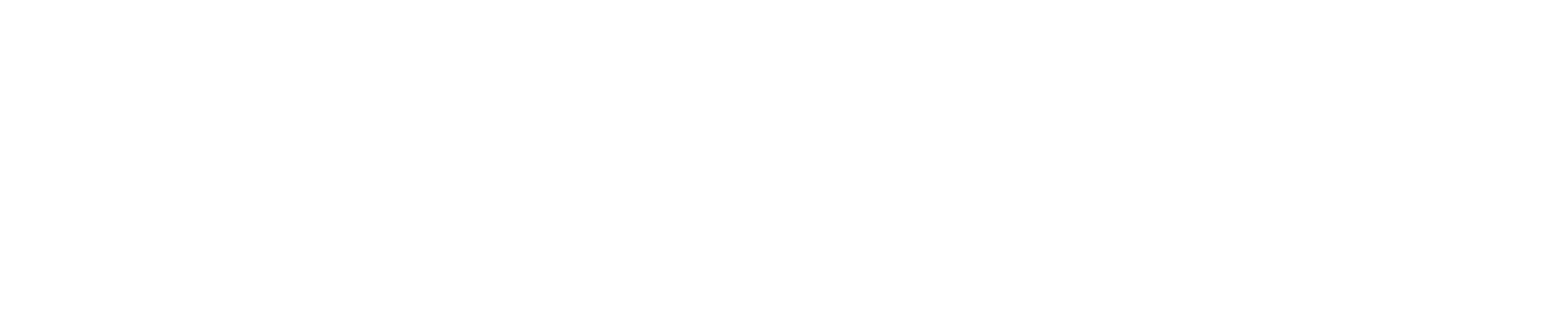 TrueBuild ADU logo white