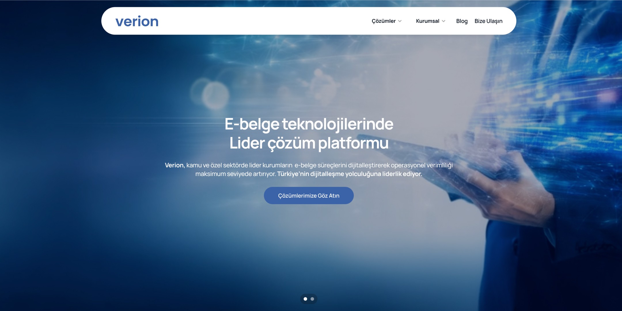 Large Project Gallery Image #1