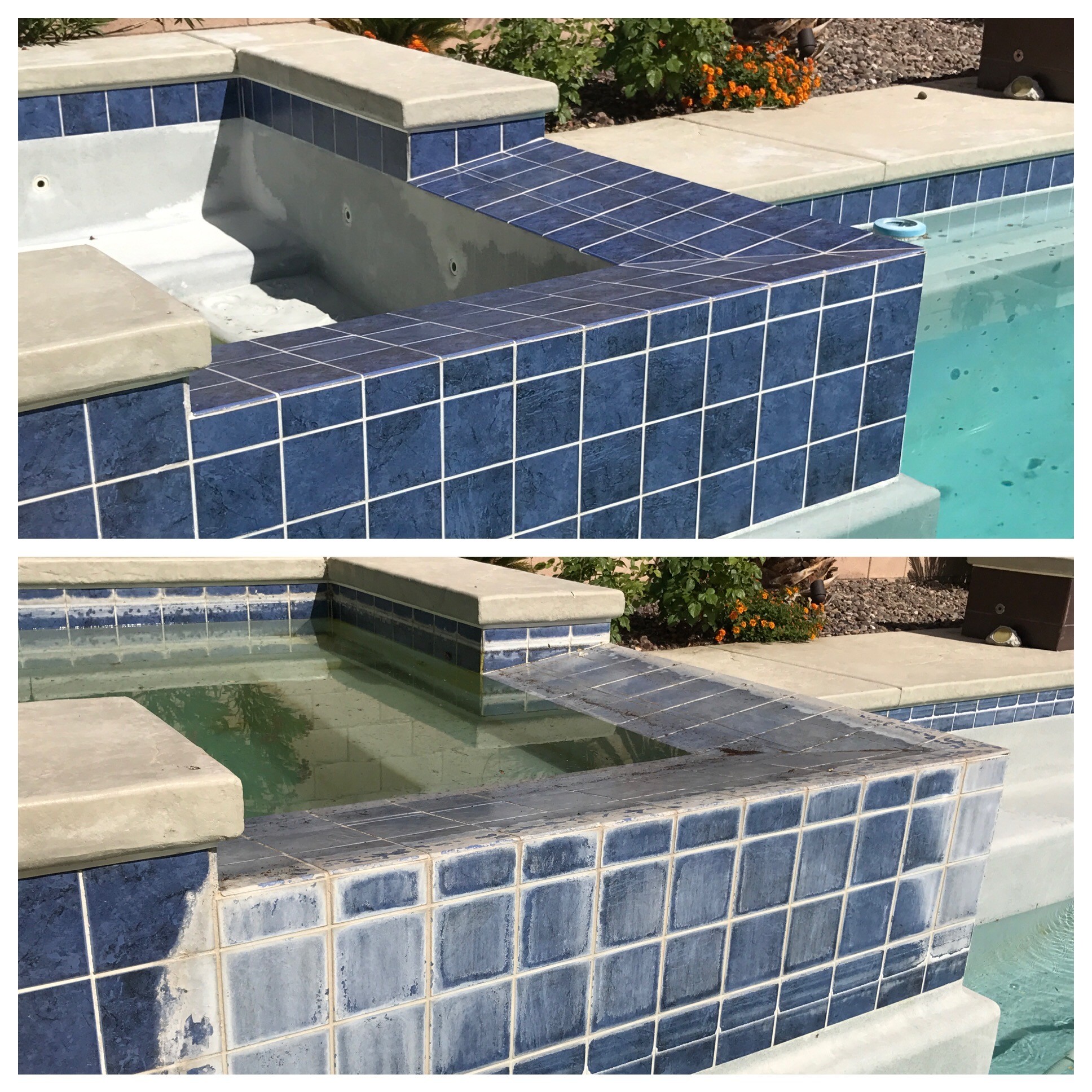professional pool tile cleaning removing calcium buildup from pool tile