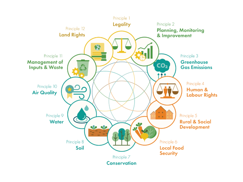 he 12 RSB Principles and Criteria&nbsp;