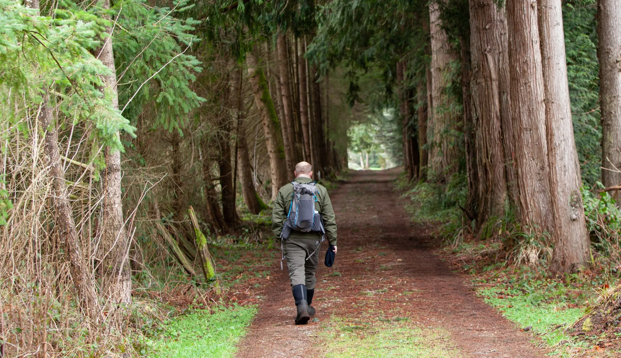 A man walking a beautiful trail at Rooted Northwest