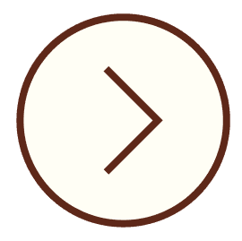Next Arrow