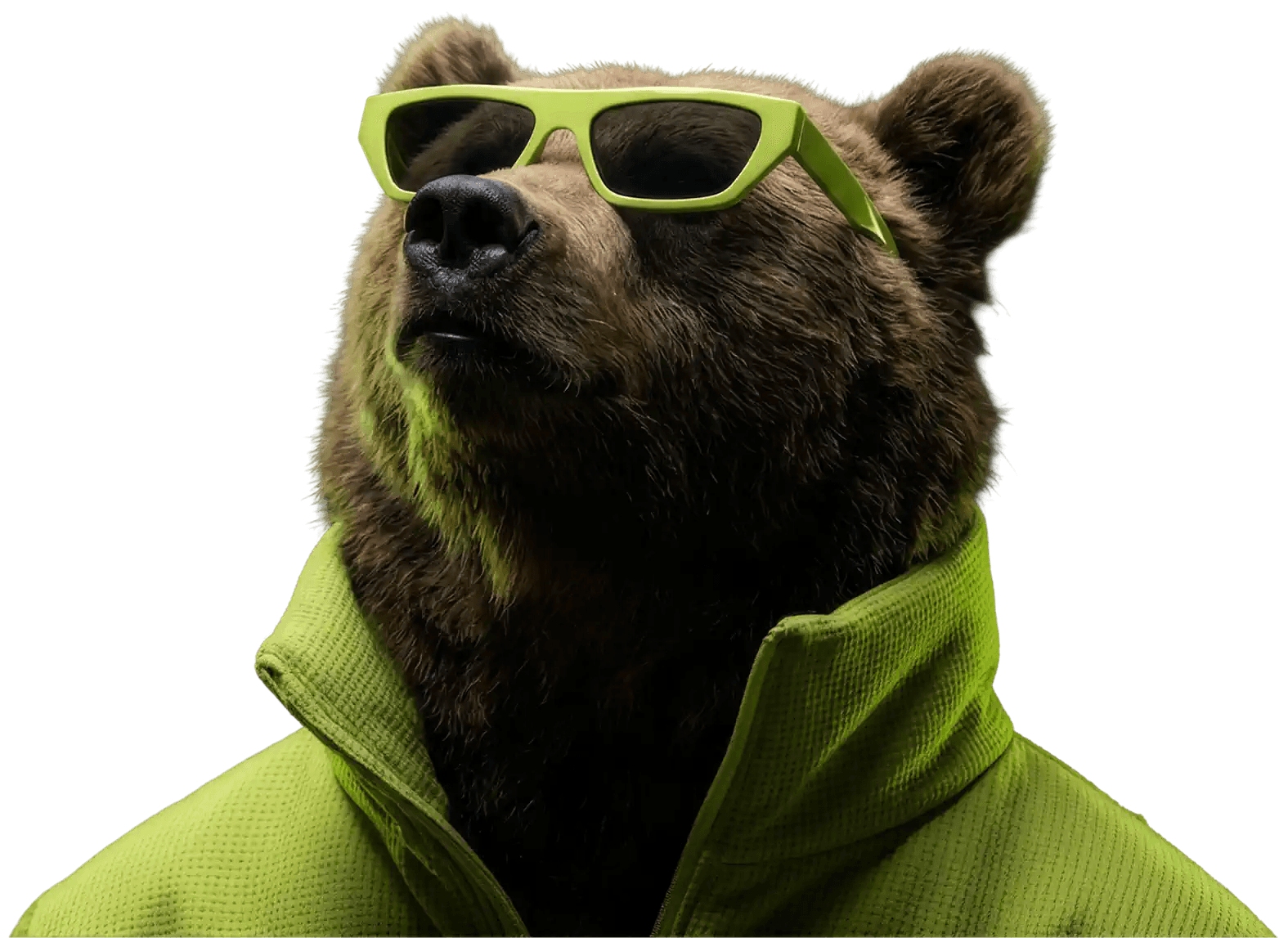BAERKEN Bär