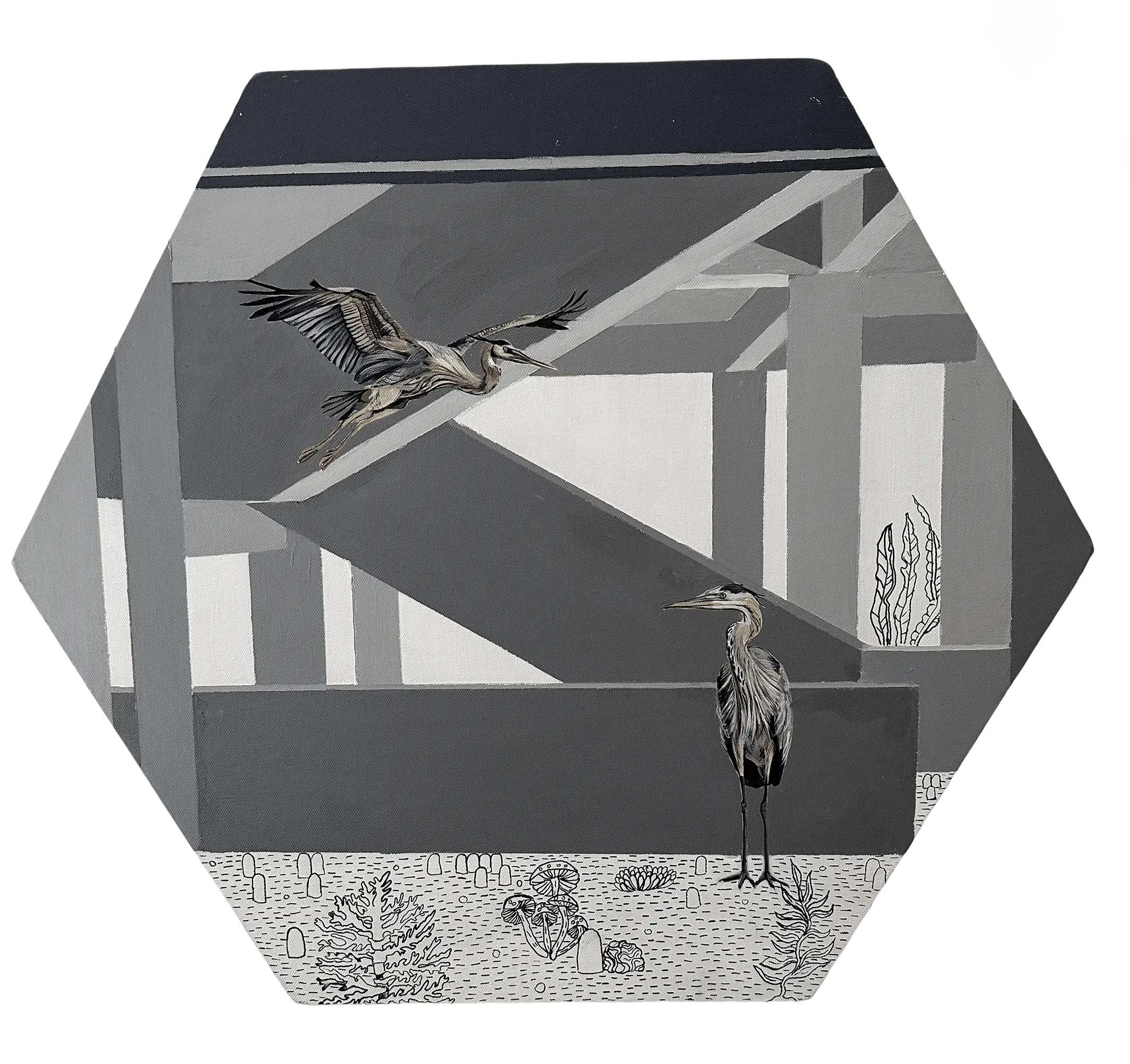 Two herons inhabit a geometric grey architectural environment—one in mid-flight and the other standing calmly below. The ground is illustrated with fossil-like drawings of coral and plants, blending nature with structured modernity.