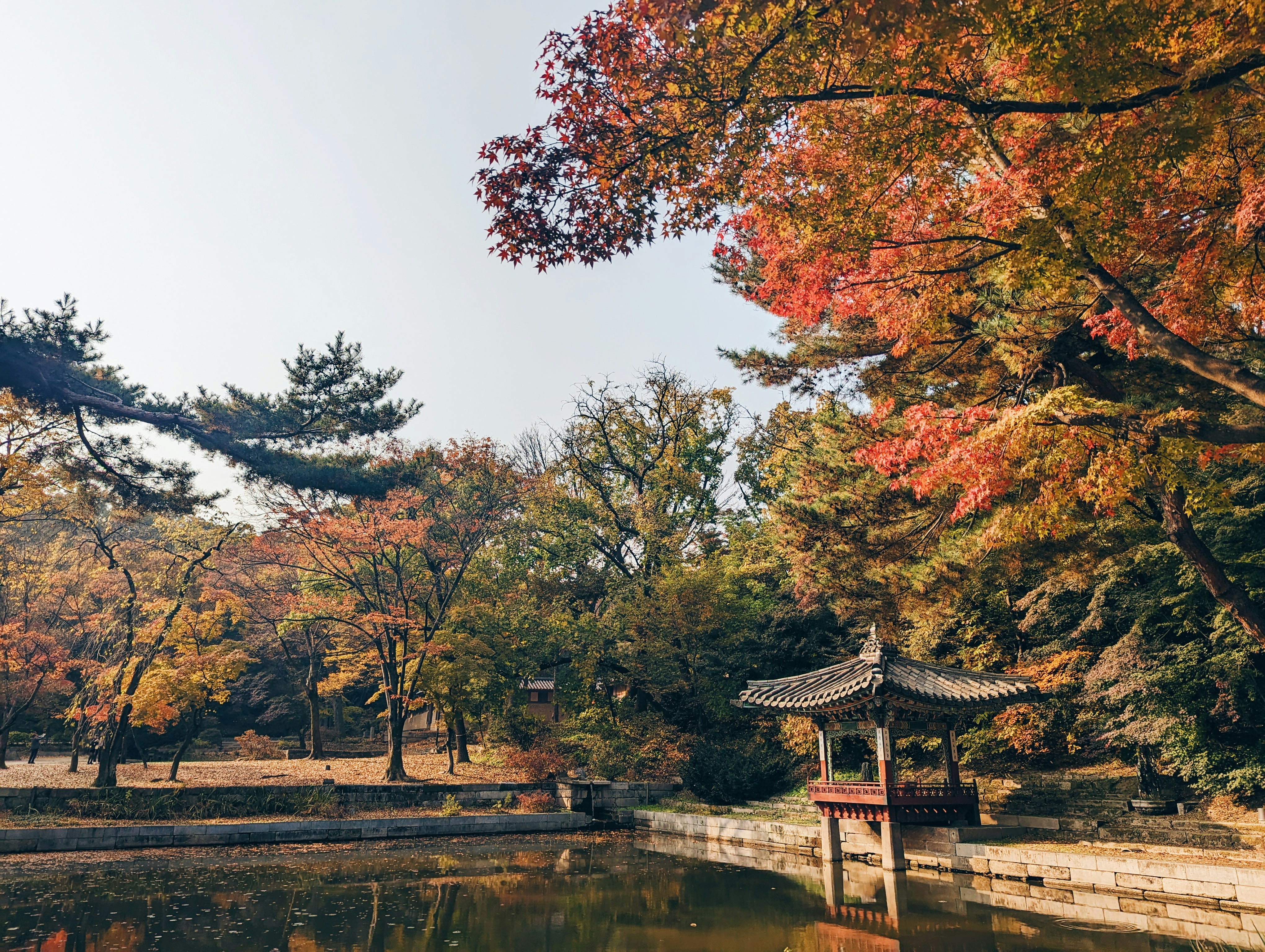 a pond in a park with a pavilion in the middle of it