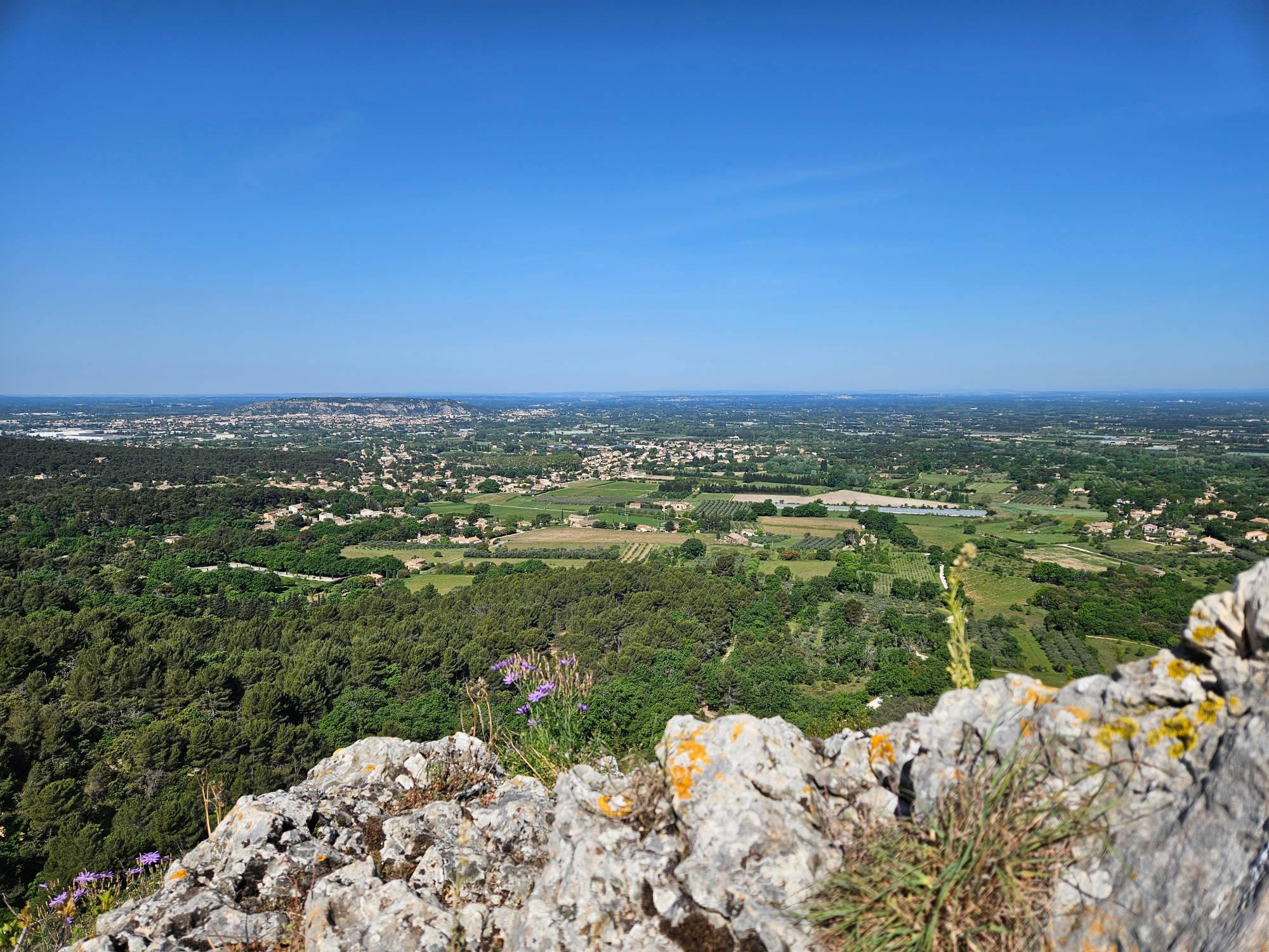 Panorama sur la plaine depuis un promontoire fleuri