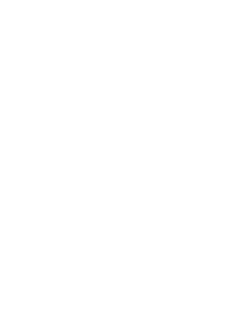 BG Ornament
