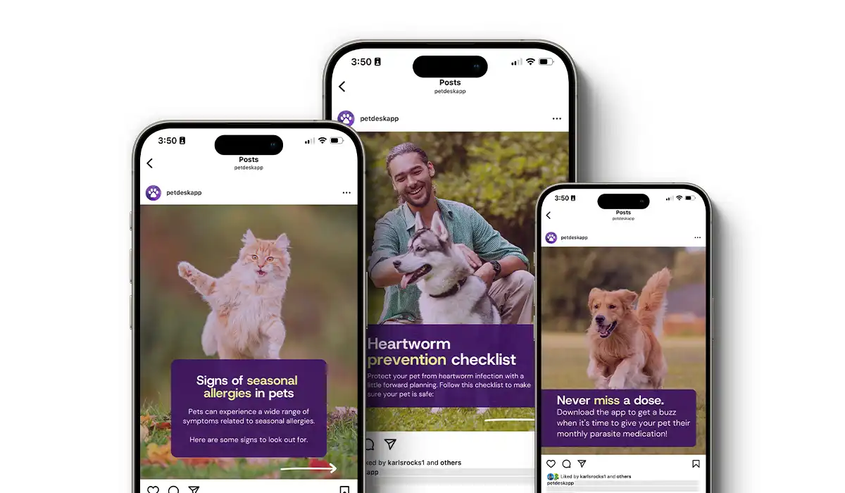 Flea, tick, and heartworm social posts