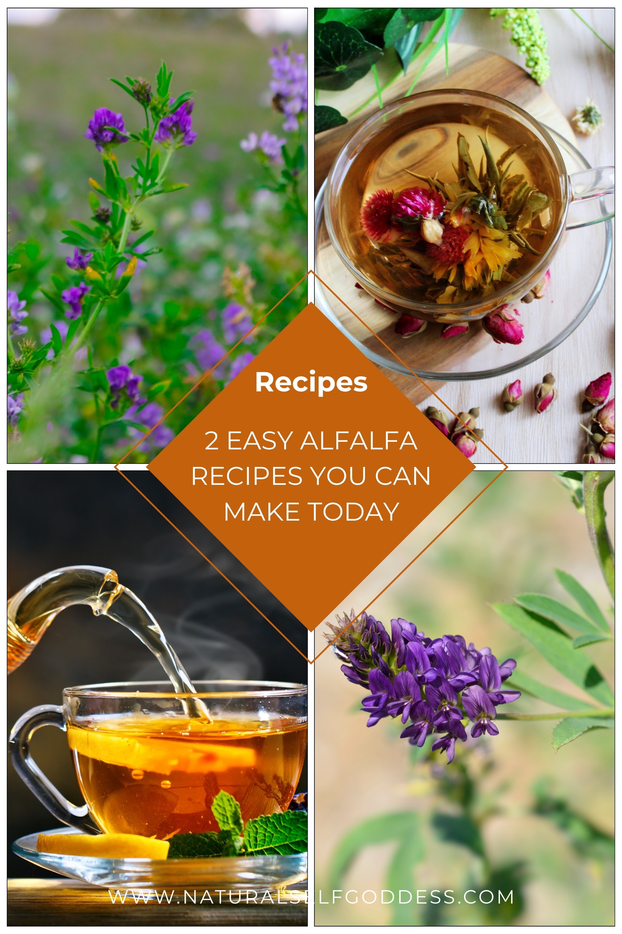Herbal Recipes & Kitchen 