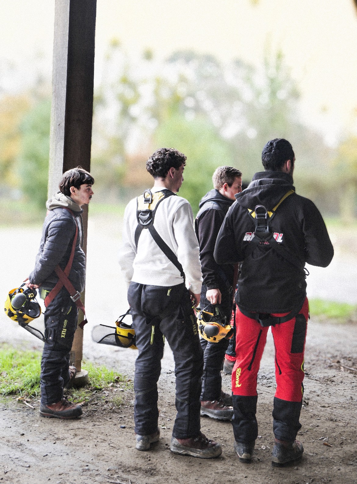 formation securite elagage