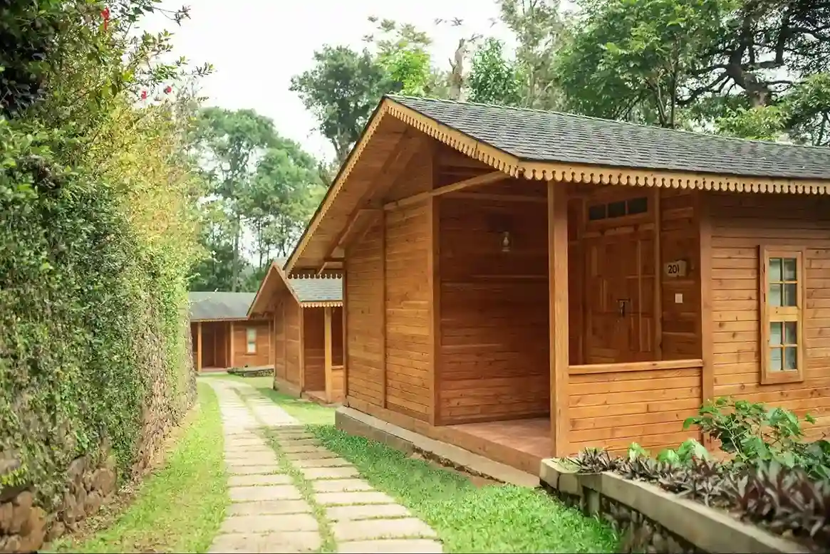 Monsoon in a Wooden Chalet - Why the Rain Makes It Even Better