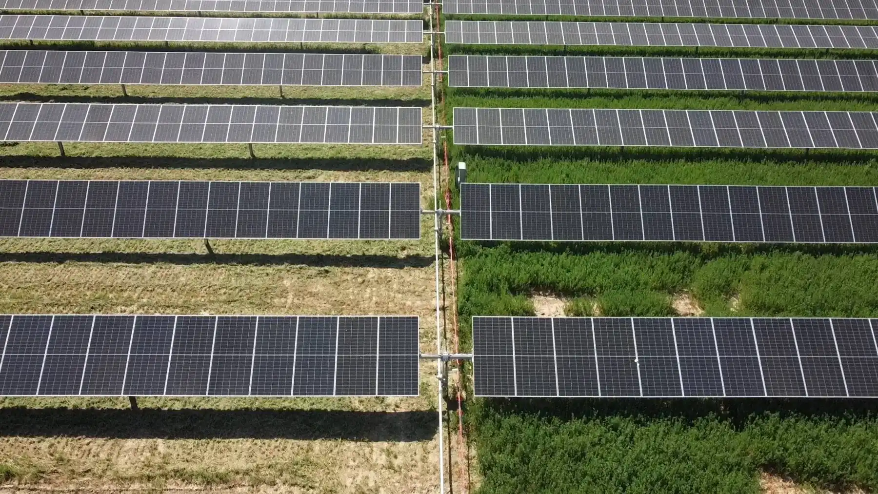 Drone view of ground-mount solar rows, with highlighted panels to explore | Premier Solar Service, serving Central Valley, CA