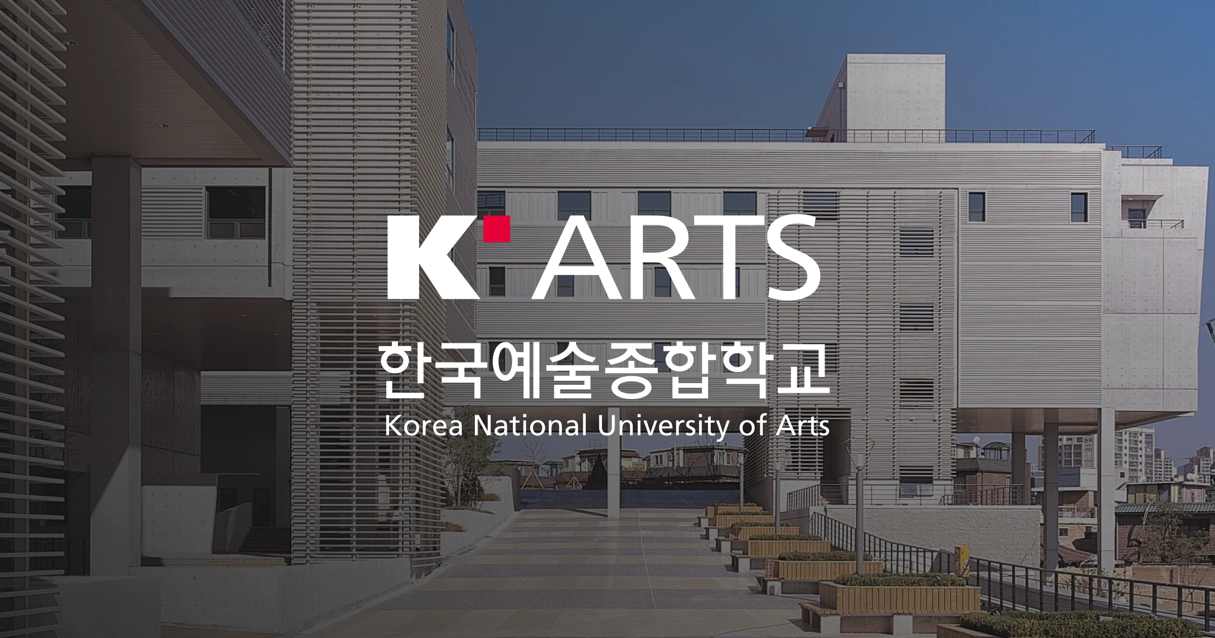 Lone pine tree on snowy hill at sunrise