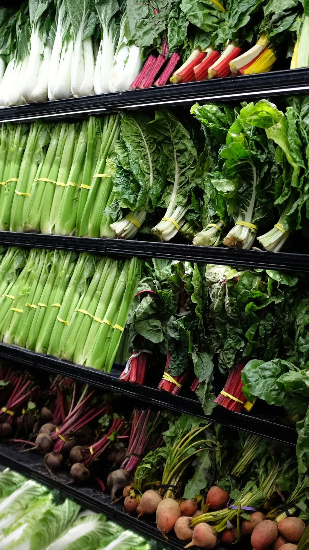A vibrant assortment of fresh green leafy vegetables and colorful root vegetables, including rainbow chard, celery, and beets, neatly displayed on stacked shelves at a farmers market.