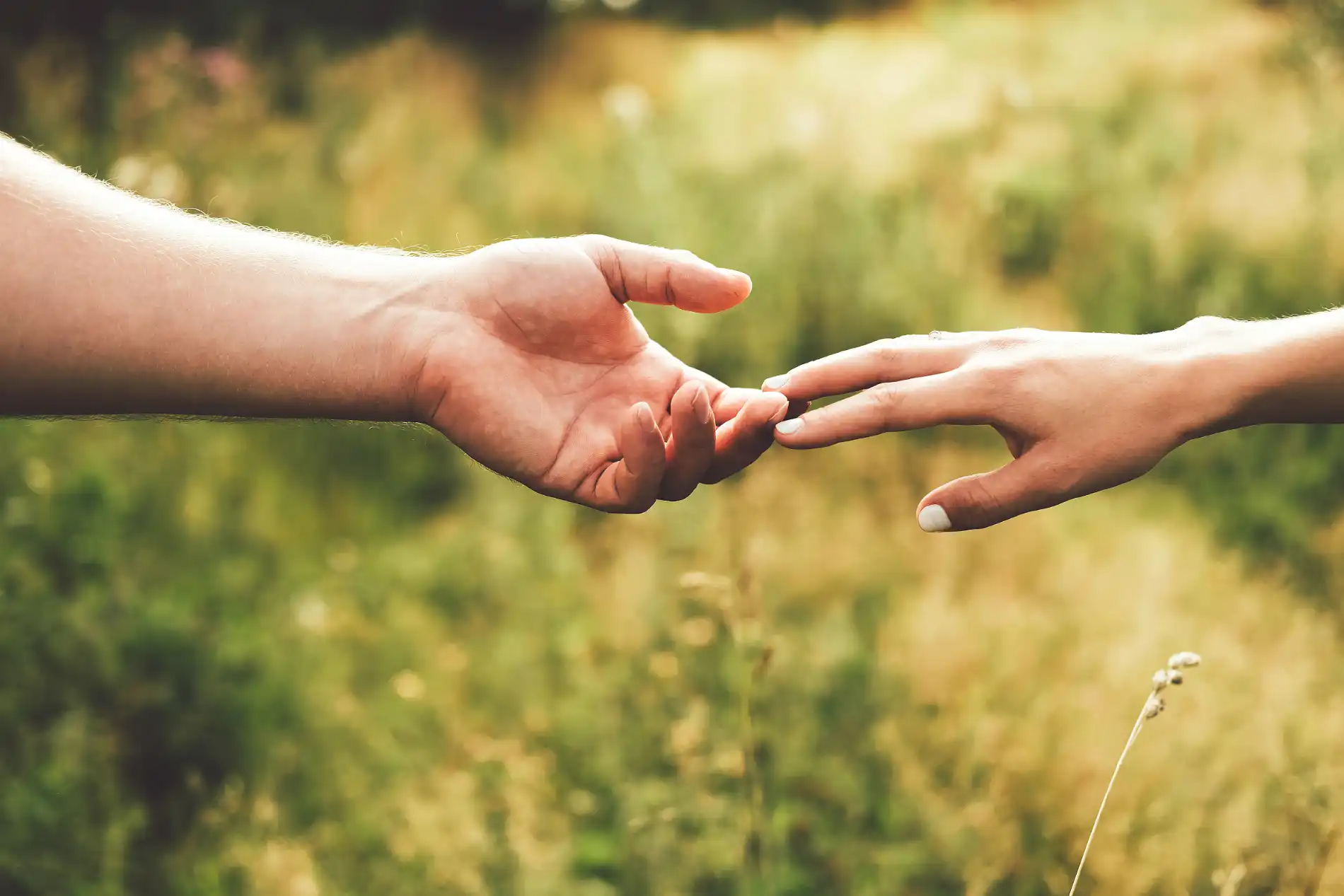 Susan Oregan IFS Counselling