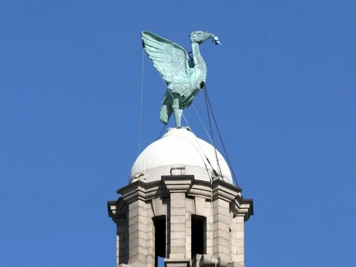 a man holding a microphone in his hands
