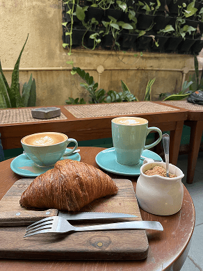 A women reading a book