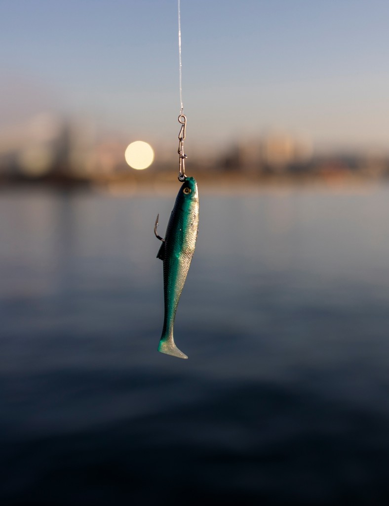 Fish on hook with bait windward marinas