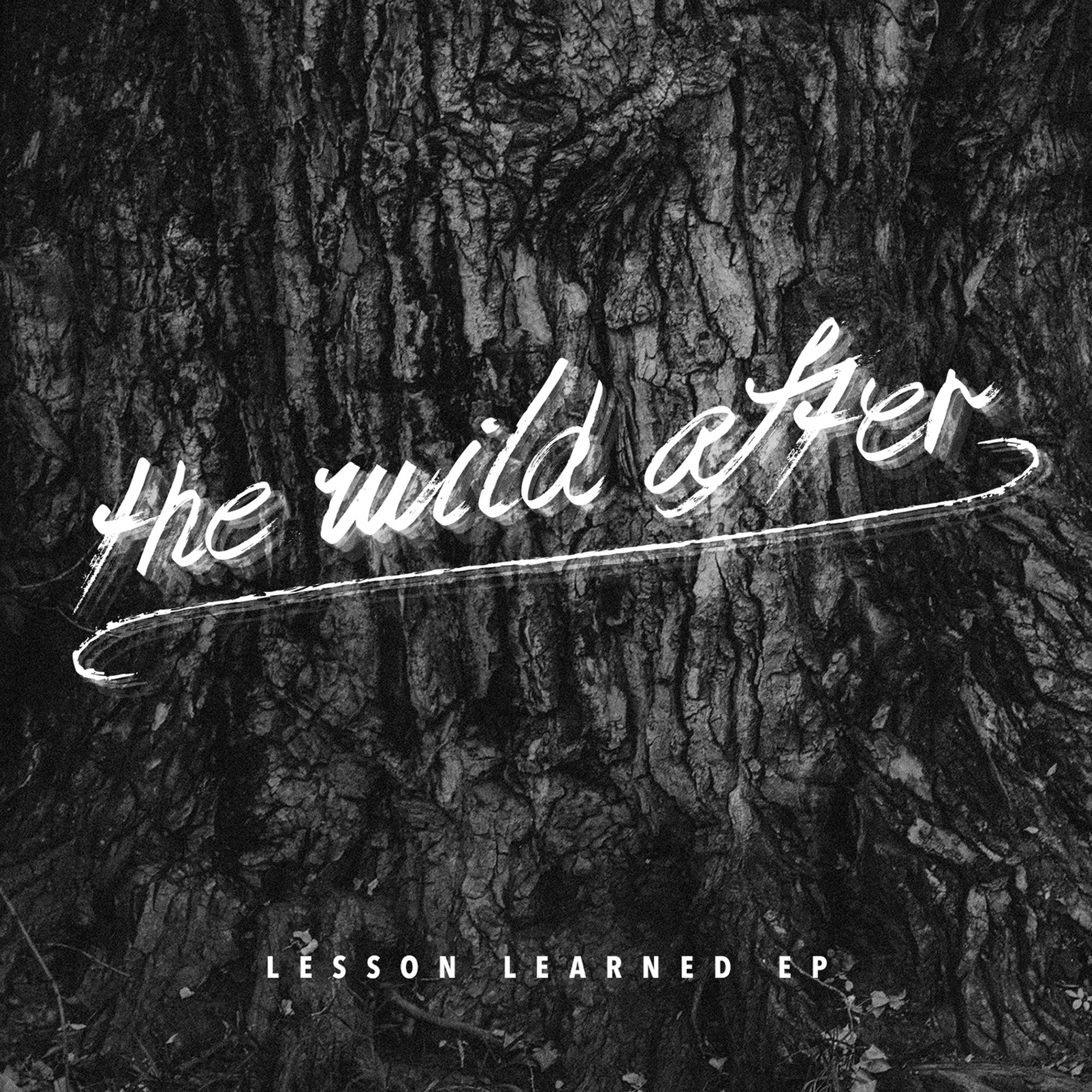 Jesse W Spencer Graphic Design Album Artwork The Wild After