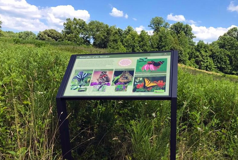 Interpretive site signae with butterflies