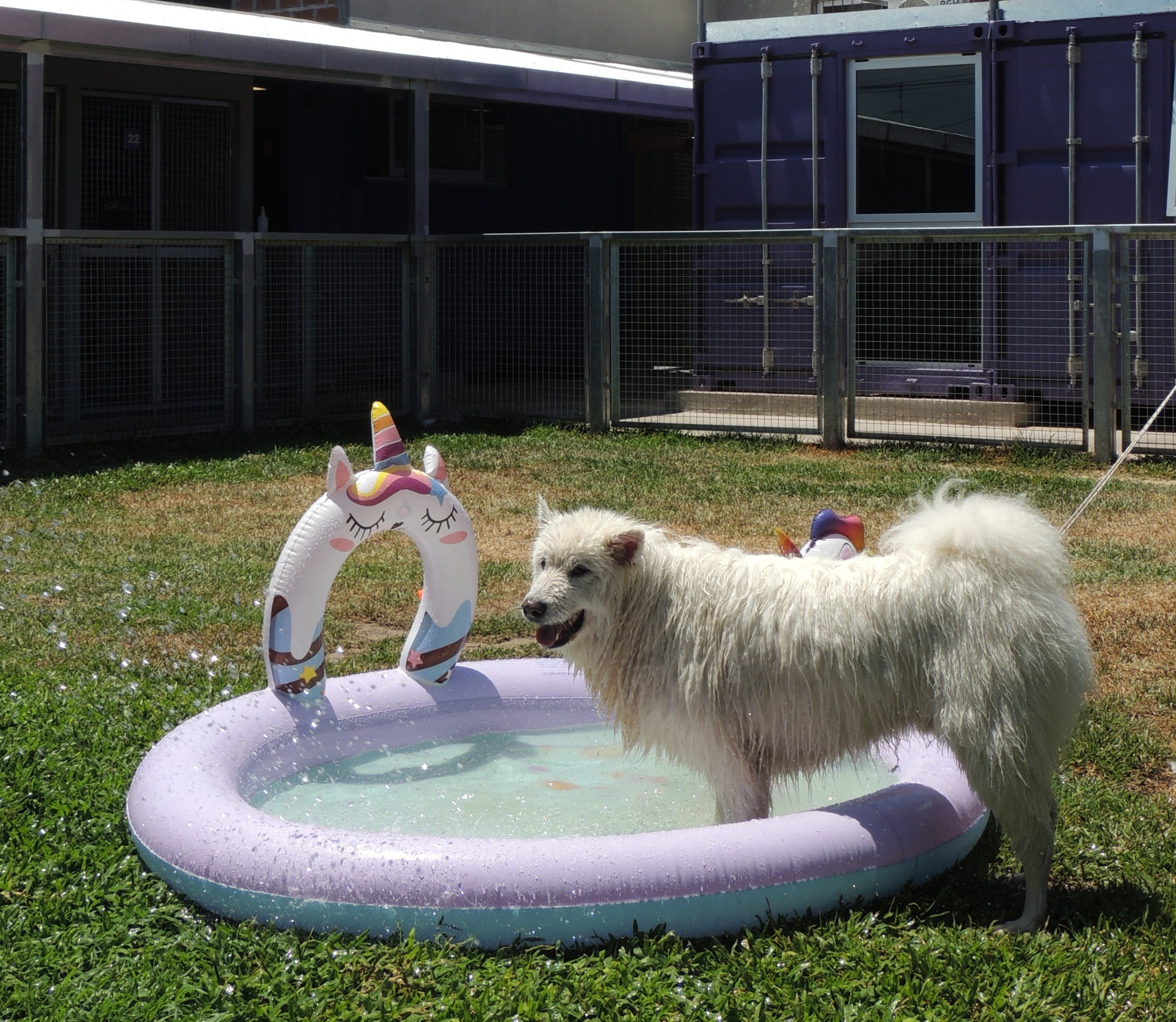 Residential Plumbing