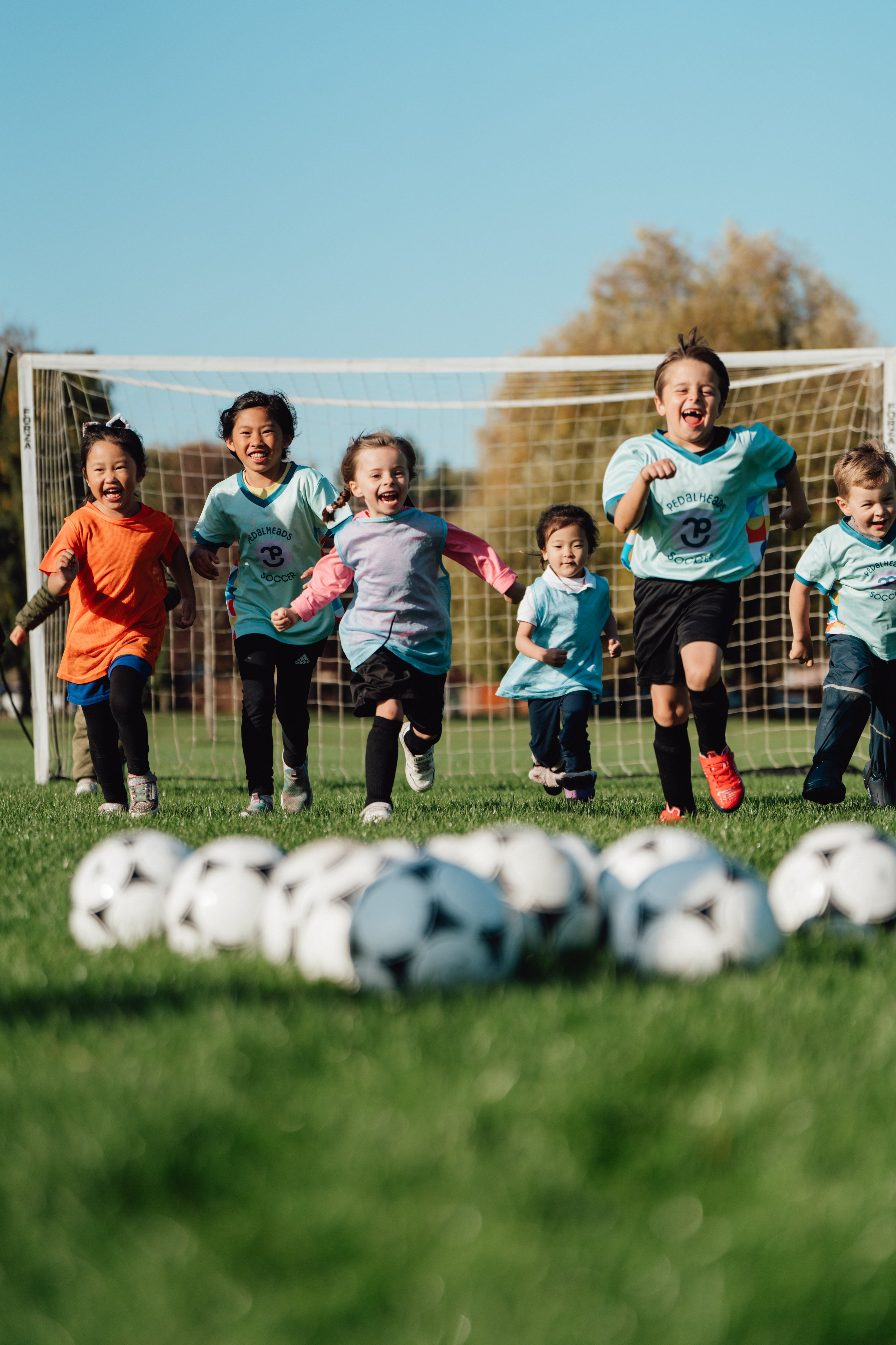 6 children playing soccer