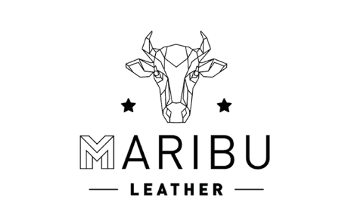 Logoipsum horizontal logo with a circular geometric icon.