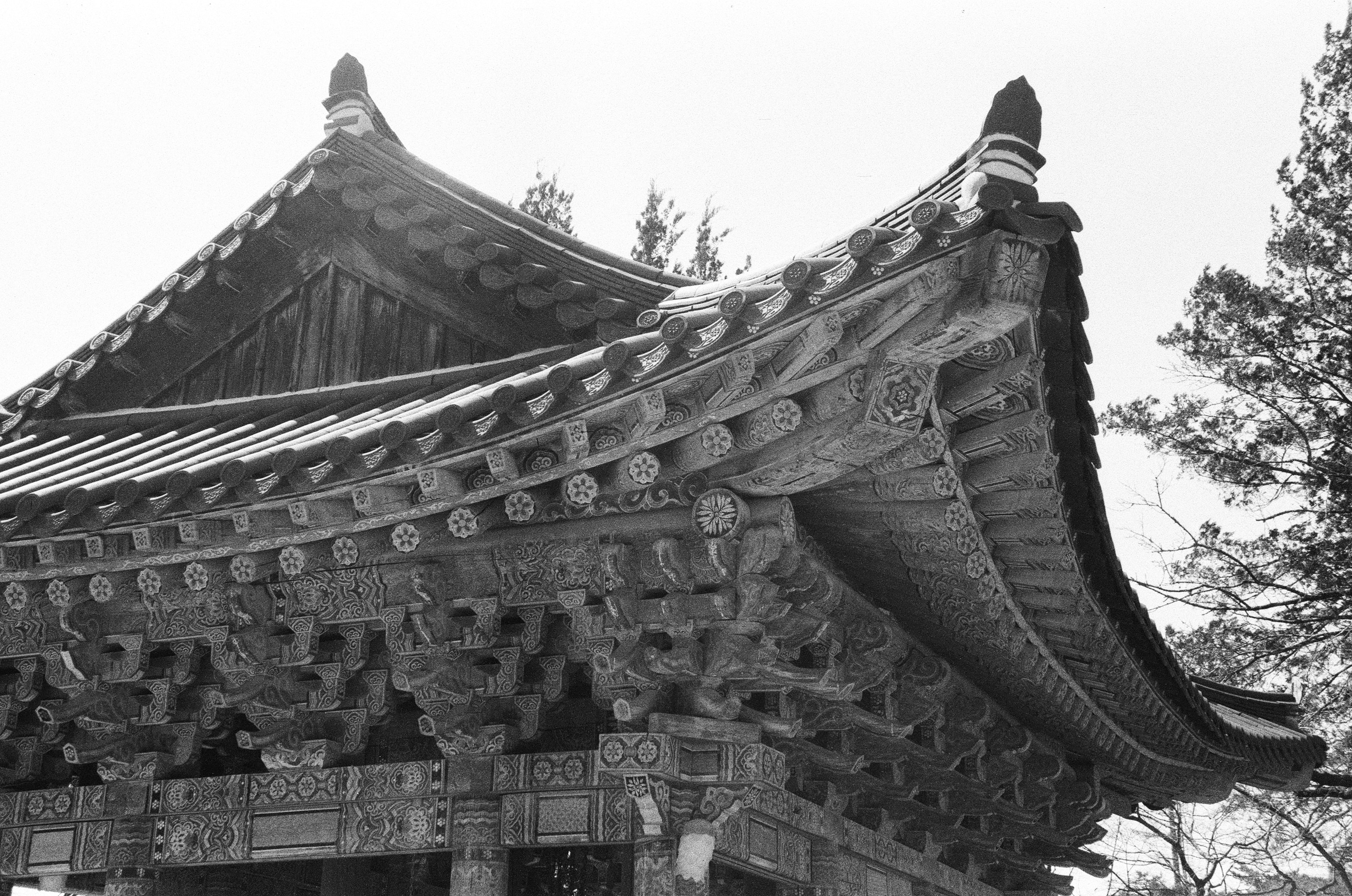 Argentique, canon, Korea, photo, nature, chut d'eau, pacefull, 