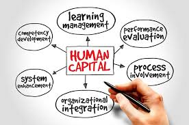 Human Capital