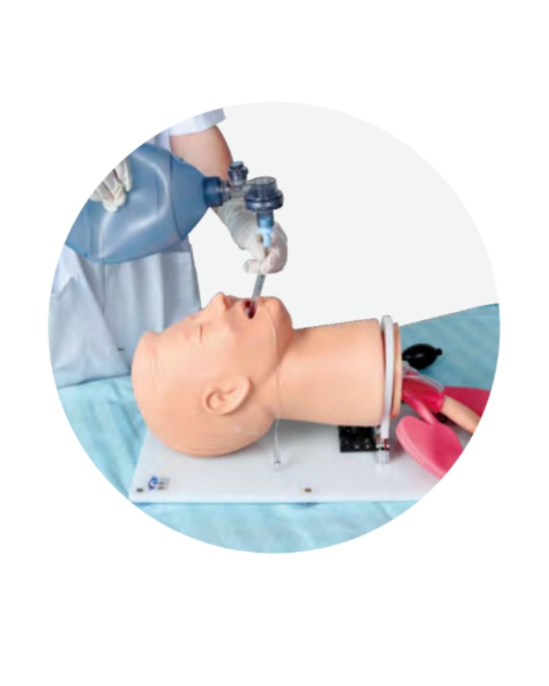 Advanced Airway Management Manikin