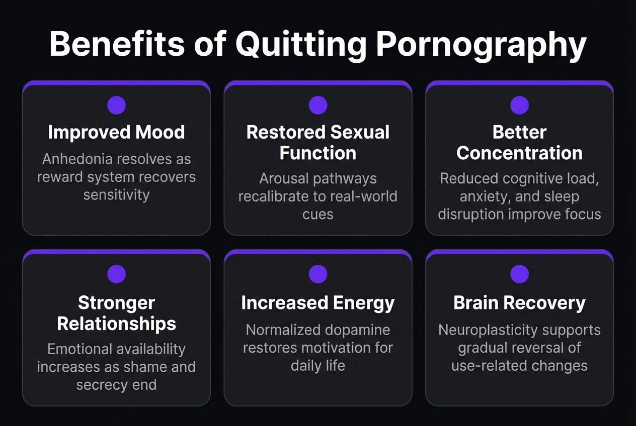 diagram showing the benefits you get after quitting pornography consumption