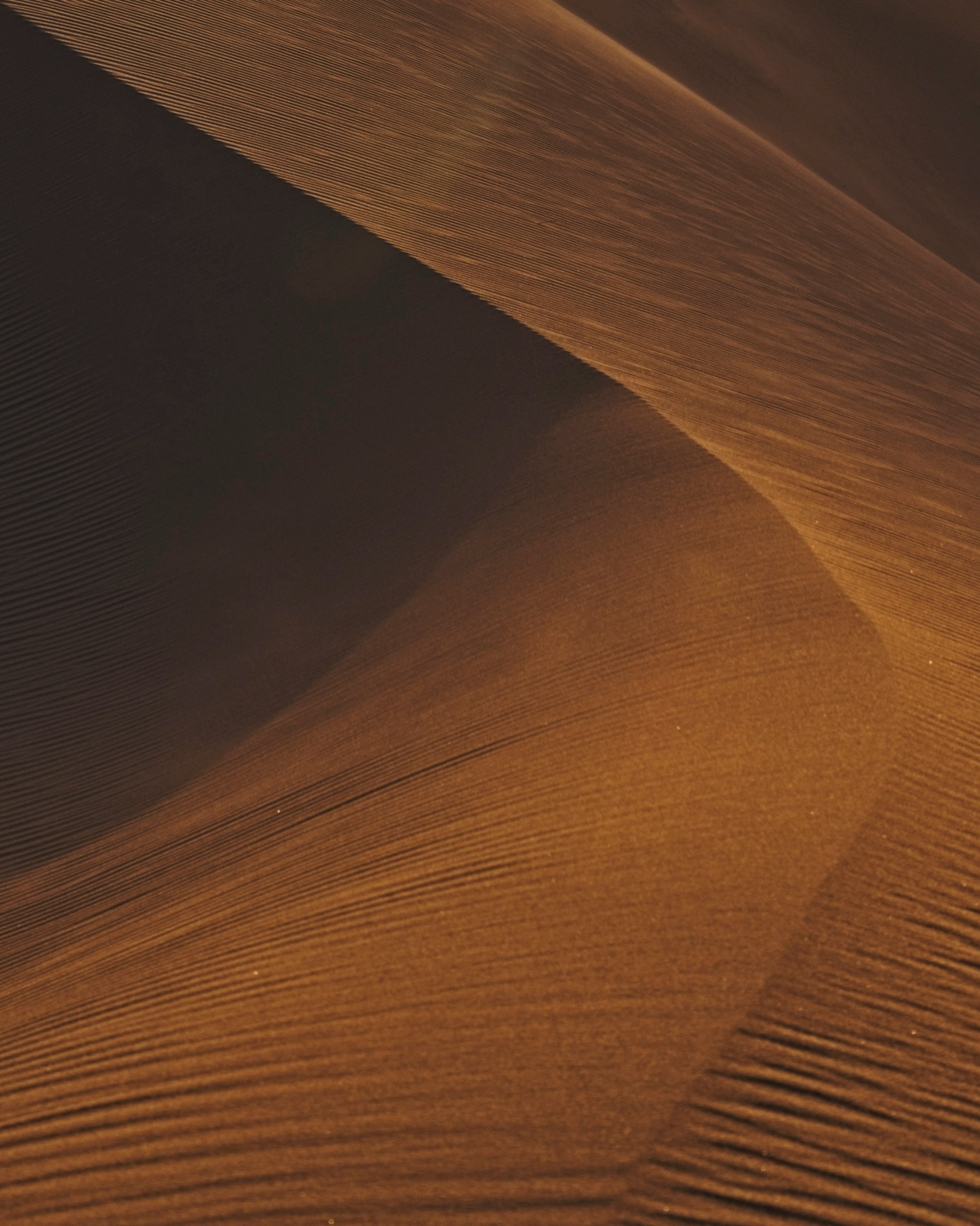 blured persona image