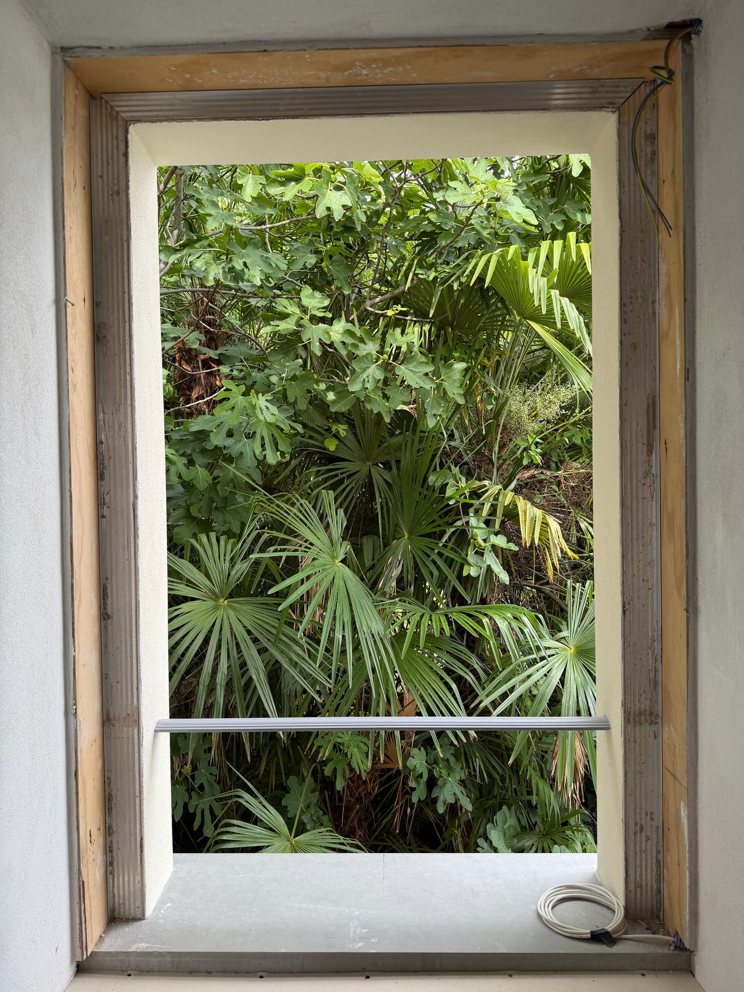 Window framing the palms and greenery of the garden