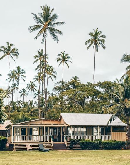  Photos by  @katgaskin  