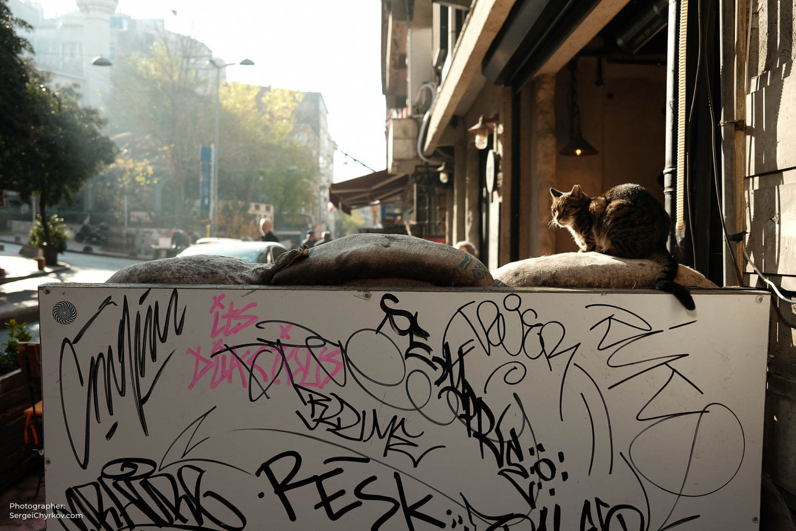 Istanbul, Turkey. January 2023. Photographer Sergei Chyrkov