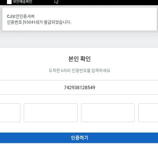 Fake authentication screen