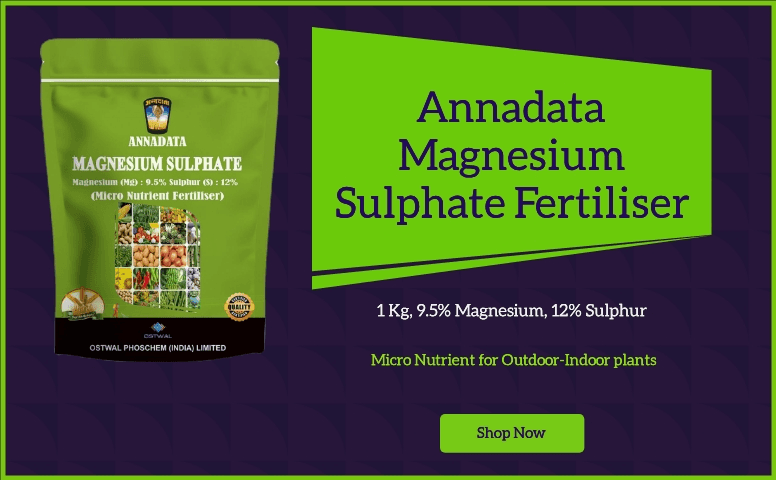 Amazon A+ banner for fertiliser brand - generatedWithSivi