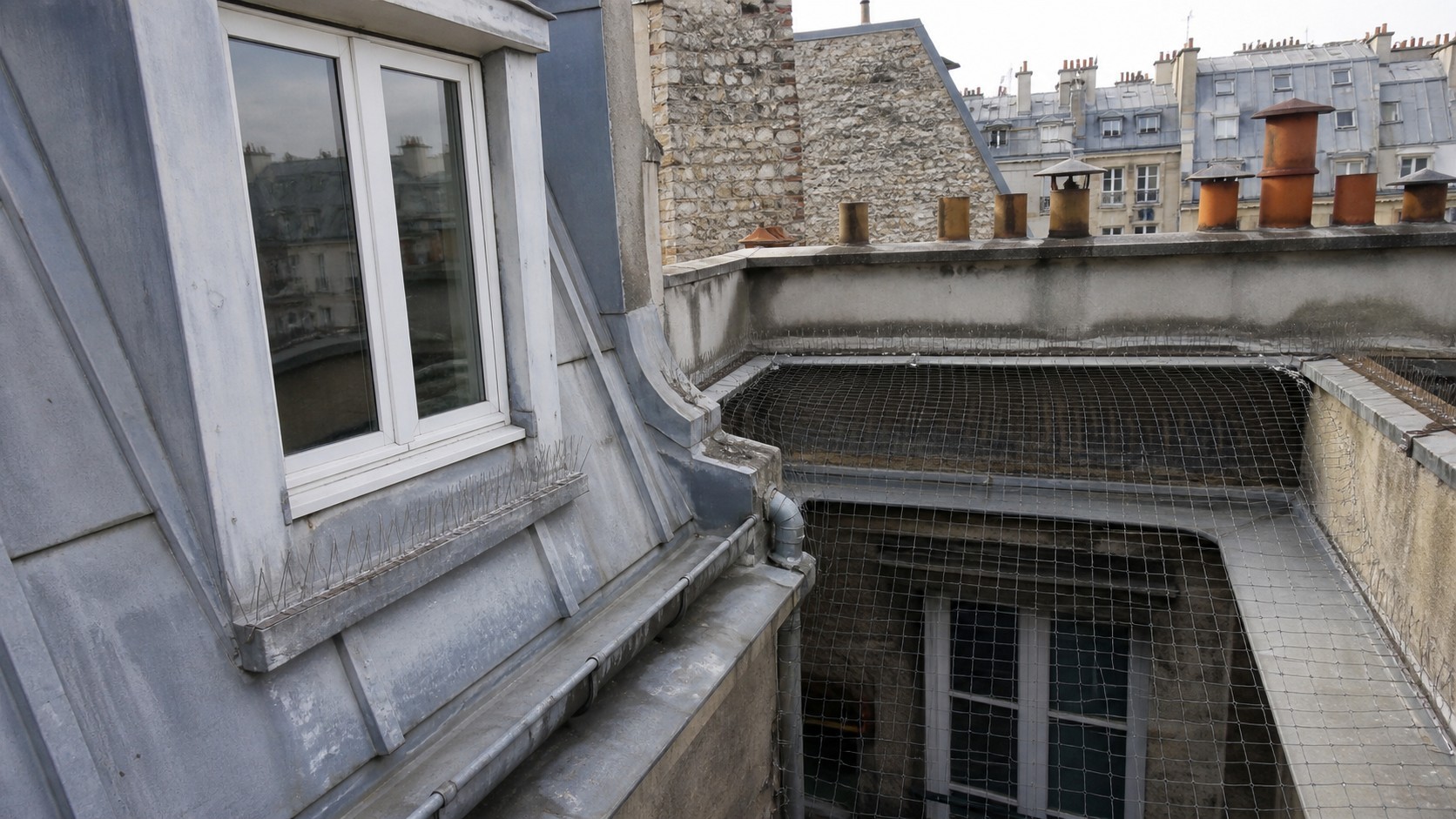 Toiture parisienne en zinc avec pics anti-pigeon et filet de protection installés pour empêcher la nidification des pigeons.