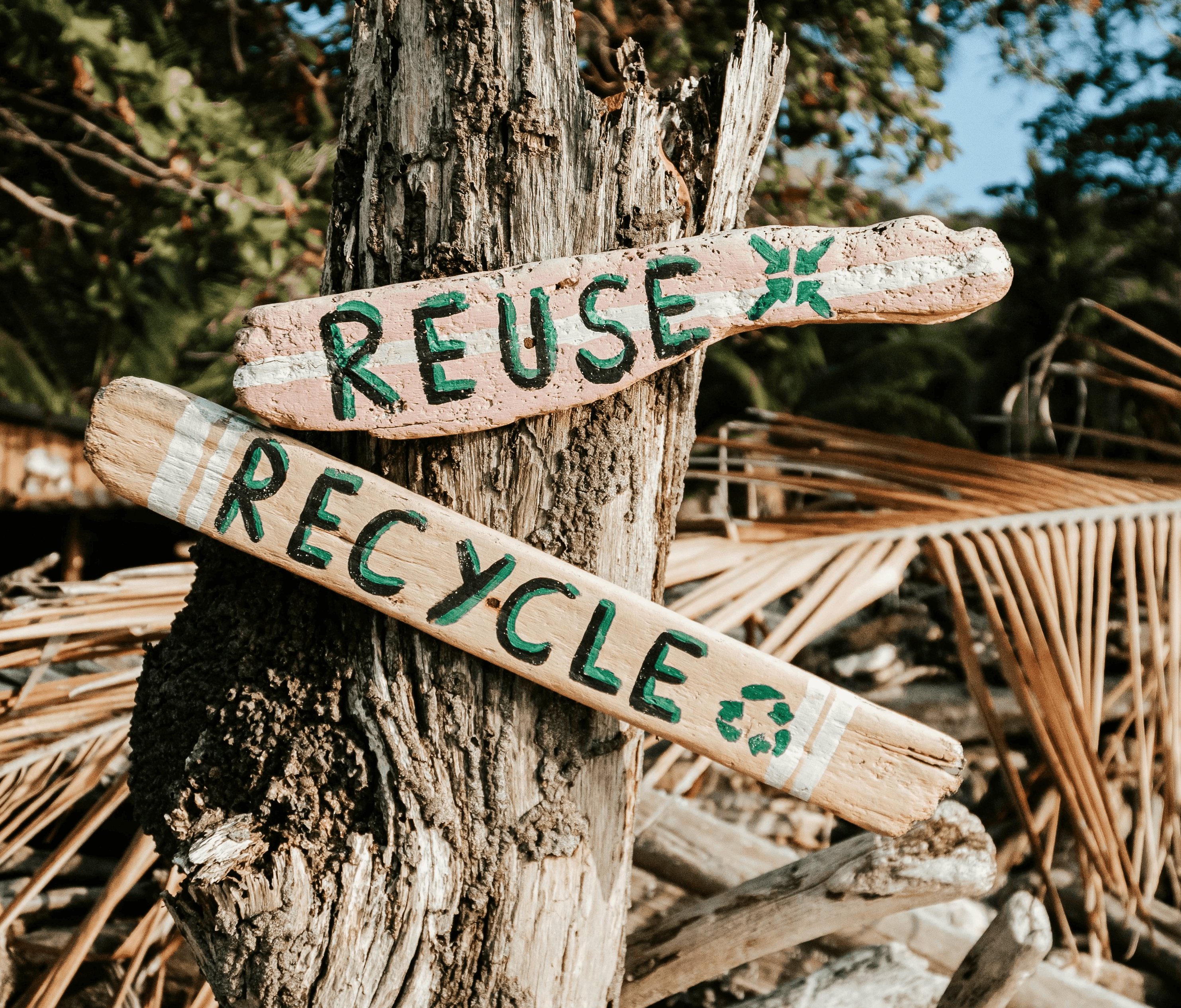 tree with sustainability signs