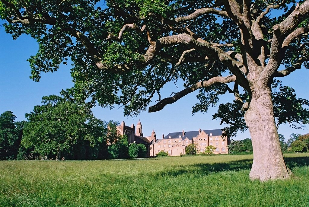 brown concrete cathedral